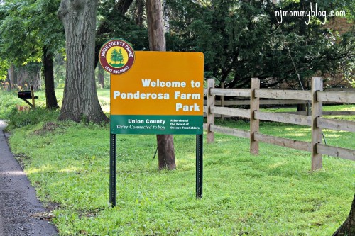 Best NJ parks for toddlers